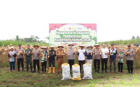 Dukung Stok Pangan, Polres Malang Panen Raya Jagung