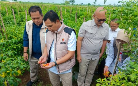 Satgas Pangan Pusat Monitoring Pasokan Pangan di Jatim
