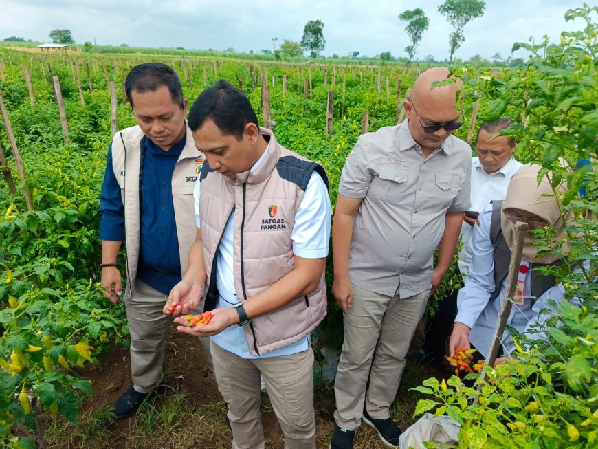 Satgas Pangan Tinjau Pasar dan Petani Jatim, Mayoritas Harga Aman